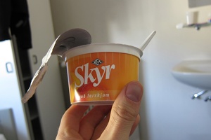 Icelandic Yogurt